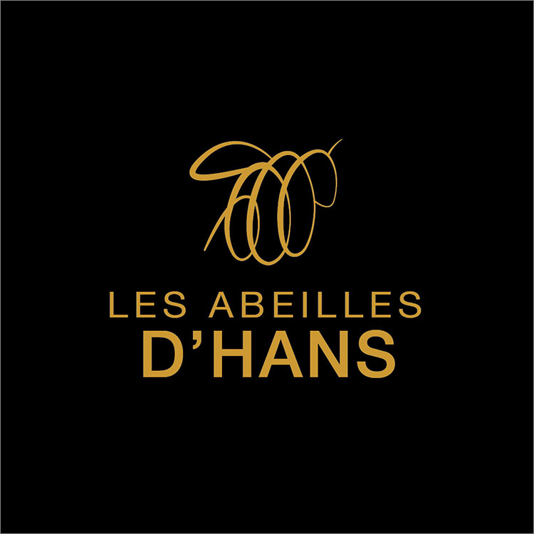 hans-logo