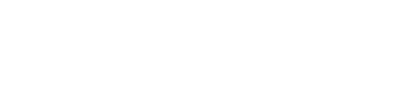 Logo FEDERAL DSGN